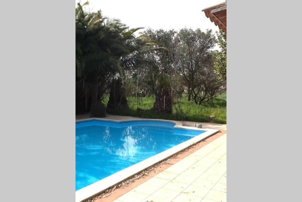 Big Relax Apartment With Swimming Pool And A Peaceful Garden In A Private Villa Sestu المظهر الخارجي الصورة