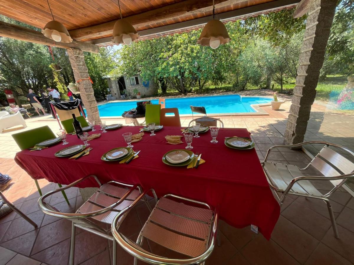 Big Relax Apartment With Swimming Pool And A Peaceful Garden In A Private Villa Sestu المظهر الخارجي الصورة