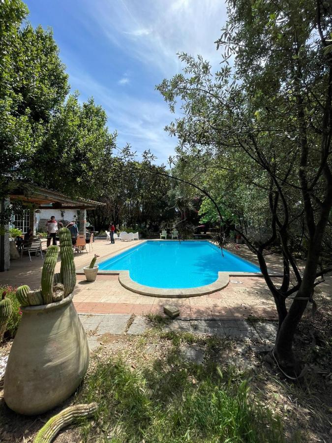 Big Relax Apartment With Swimming Pool And A Peaceful Garden In A Private Villa Sestu المظهر الخارجي الصورة