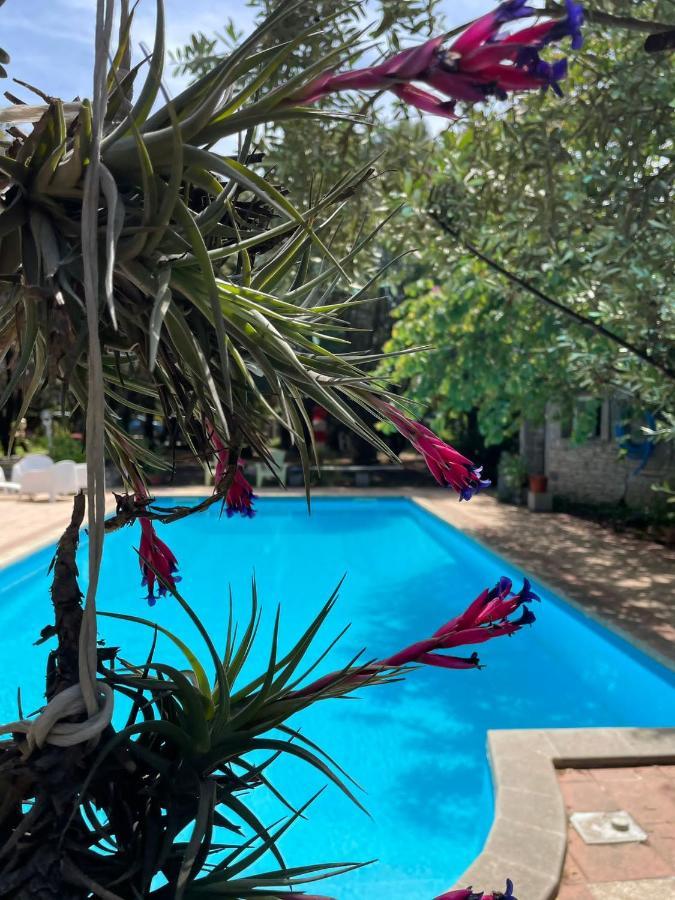 Big Relax Apartment With Swimming Pool And A Peaceful Garden In A Private Villa Sestu المظهر الخارجي الصورة